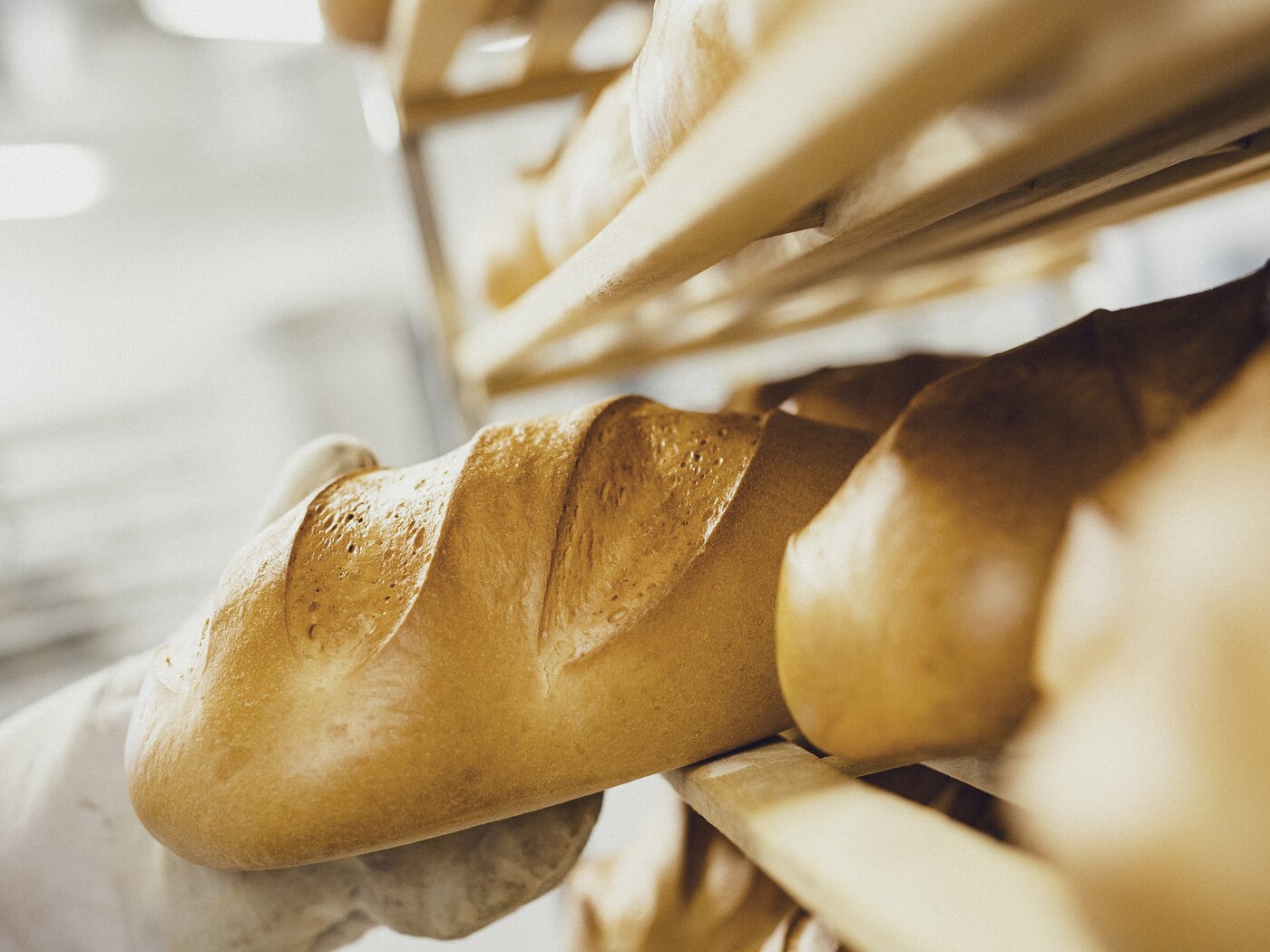 ein Regal voller Brote